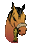 Un poney