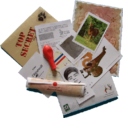 contenu des différents jeux et chasses au trésor