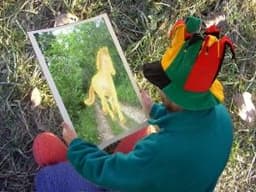 Un Lutin qui regarde une image de poney