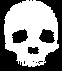 Tête de mort drapeau pirate